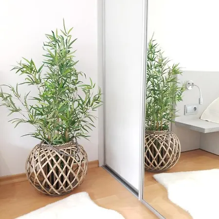 Bolek I Lolek * Zakopane