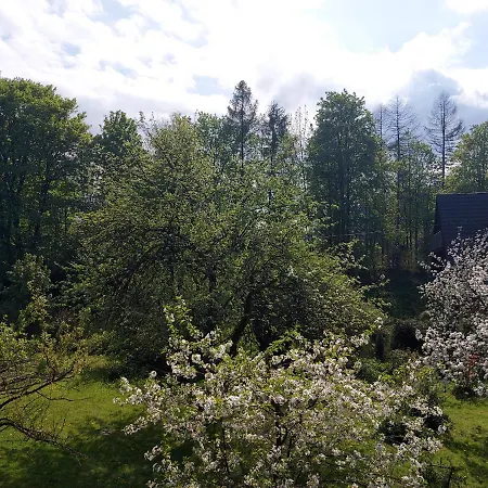 Bolek I Lolek Apartament *