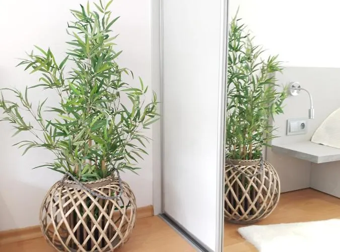 Bolek I Lolek * Zakopane