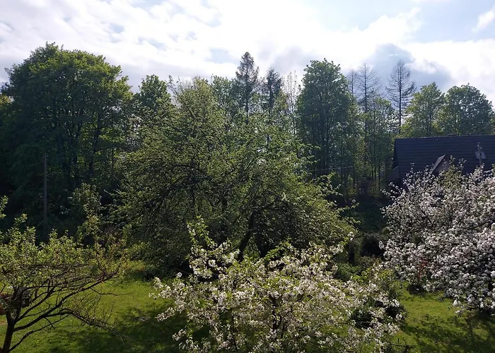 Bolek I Lolek شقة *